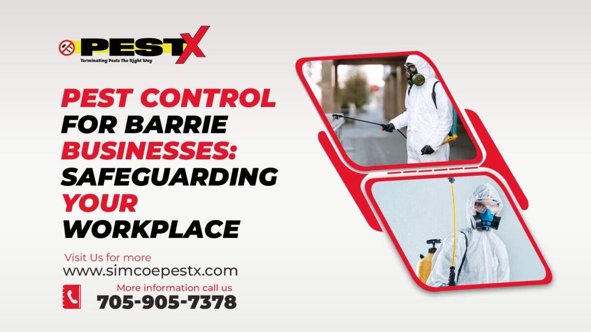 Pest Control for Barrie Businesses