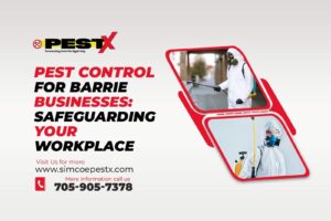 Pest Control for Barrie Businesses
