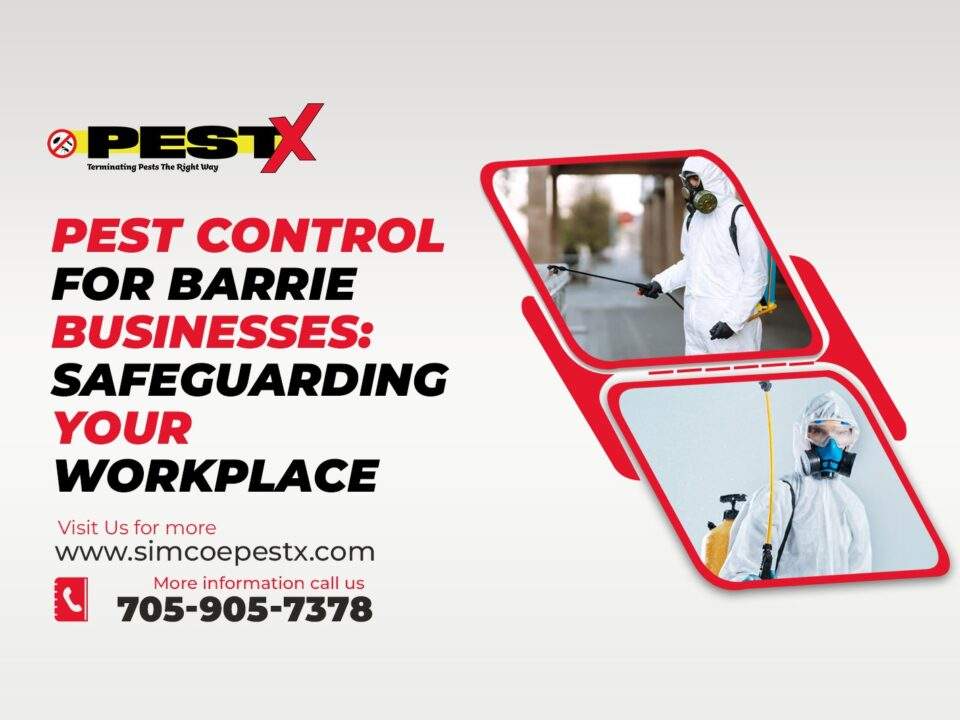 Pest Control for Barrie Businesses