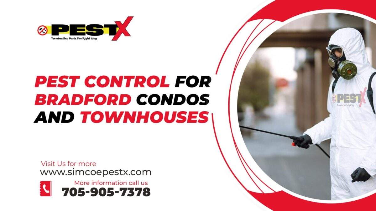 Pest Control for Bradford Ontario