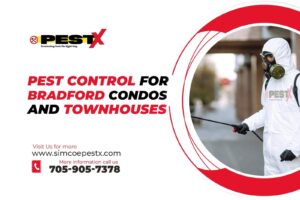 Pest Control for Bradford Ontario