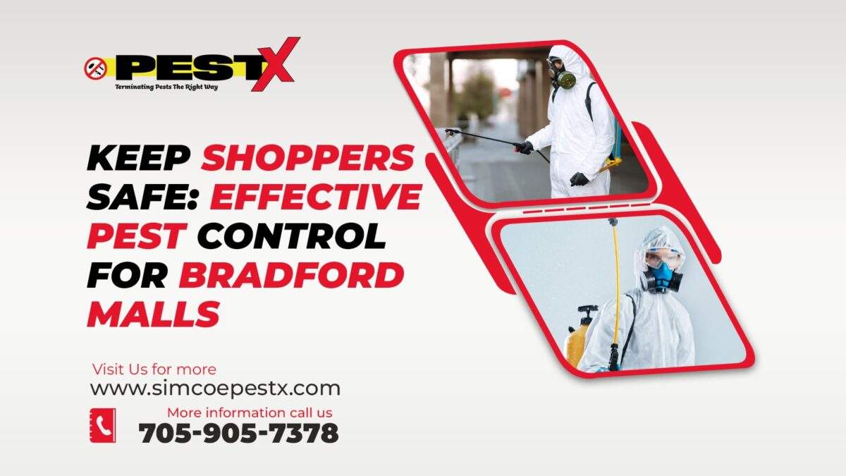 Pest Control for Bradford Malls