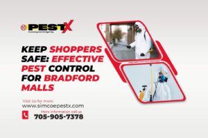 Pest Control for Bradford Malls