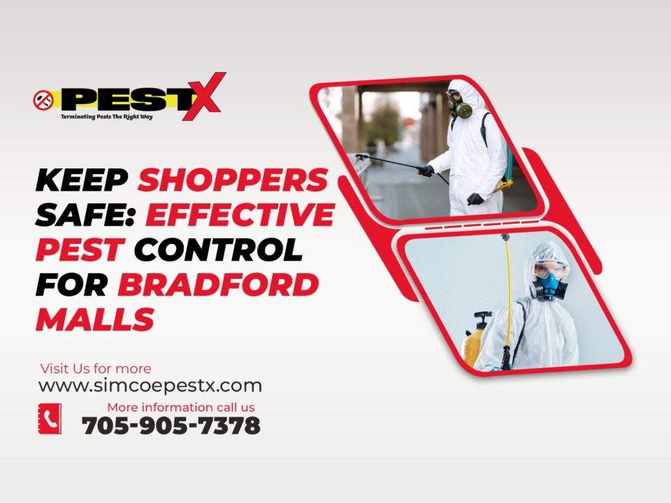 Pest Control for Bradford Malls