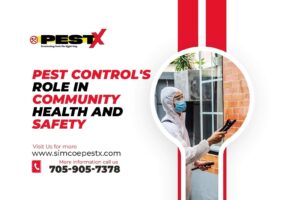 Pest Control's Role in Community