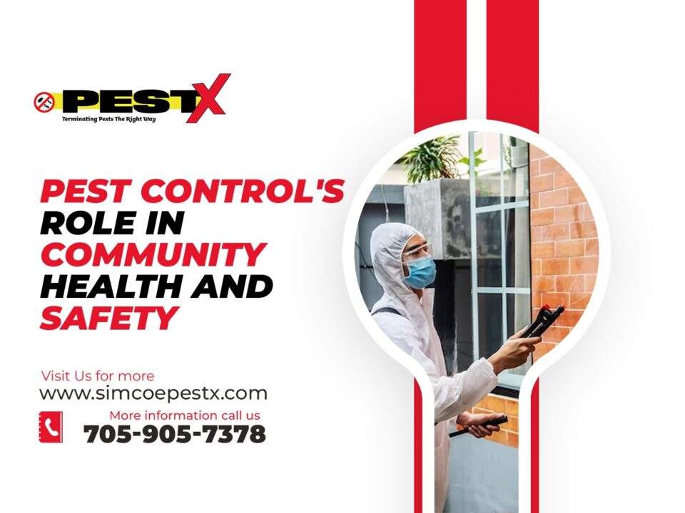 Pest Control's Role in Community