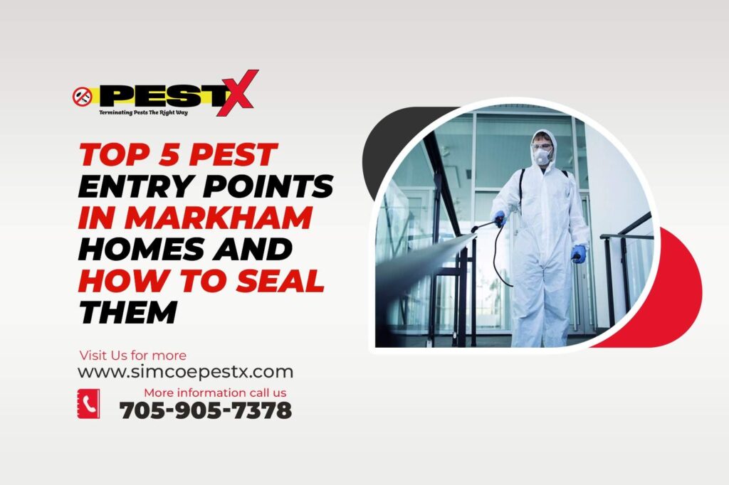 Current image: Pest Entry Points in Markham Homes