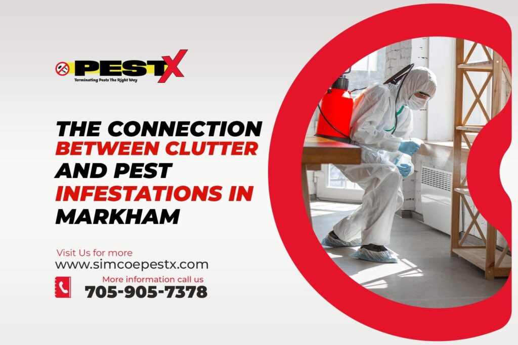 Current image: Pest Infestations