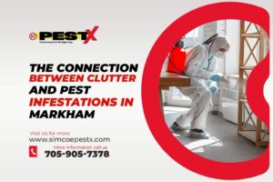 Pest Infestations