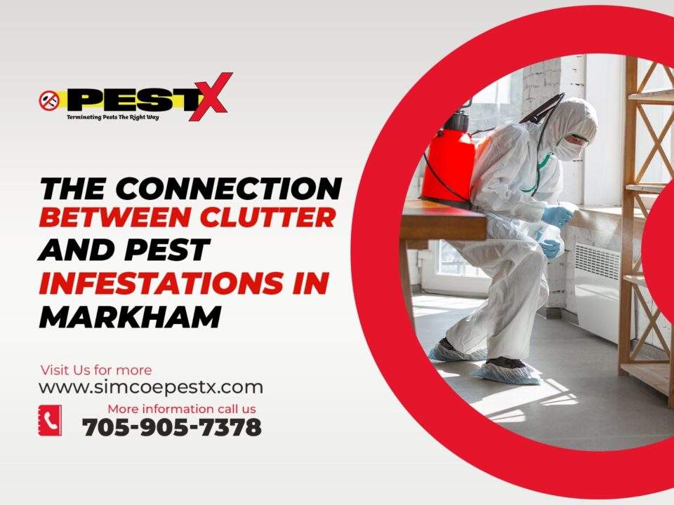 Pest Infestations in Markham