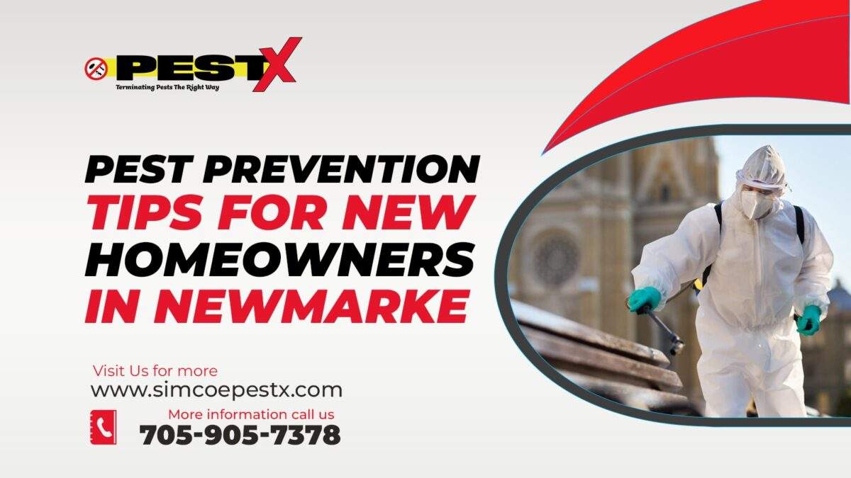 Pest Prevention Tips for New Homeowners