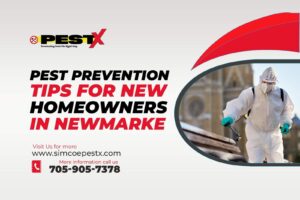 Pest Prevention Tips for New Homeowners
