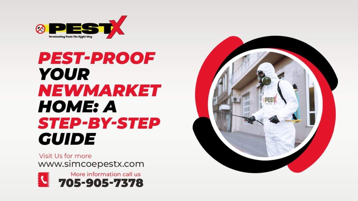 Pest-Proof Your Newmarket Home