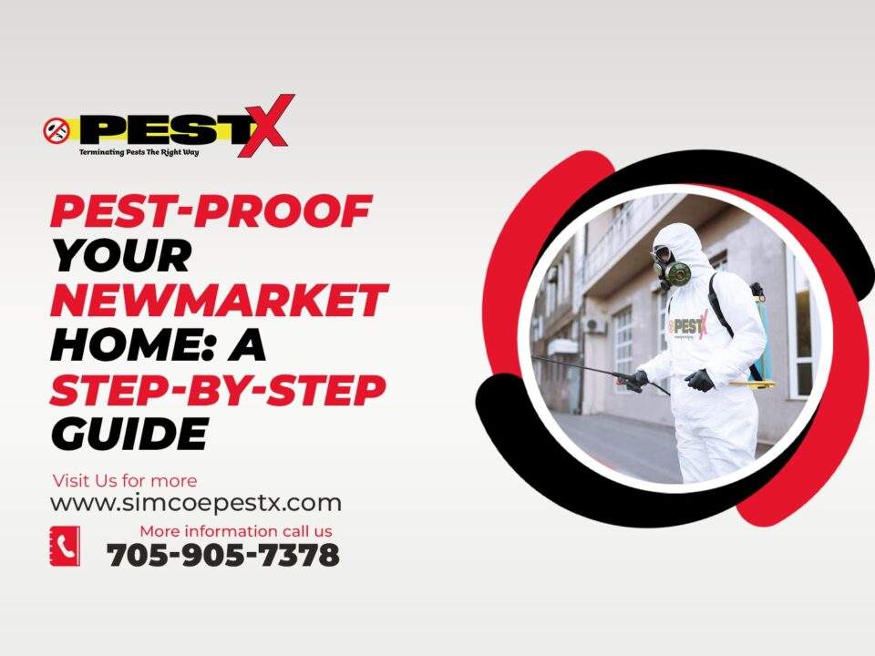 Pest-Proof Your Newmarket Home