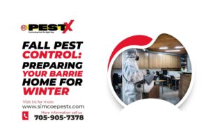 Preparing Your Barrie Home for Winter