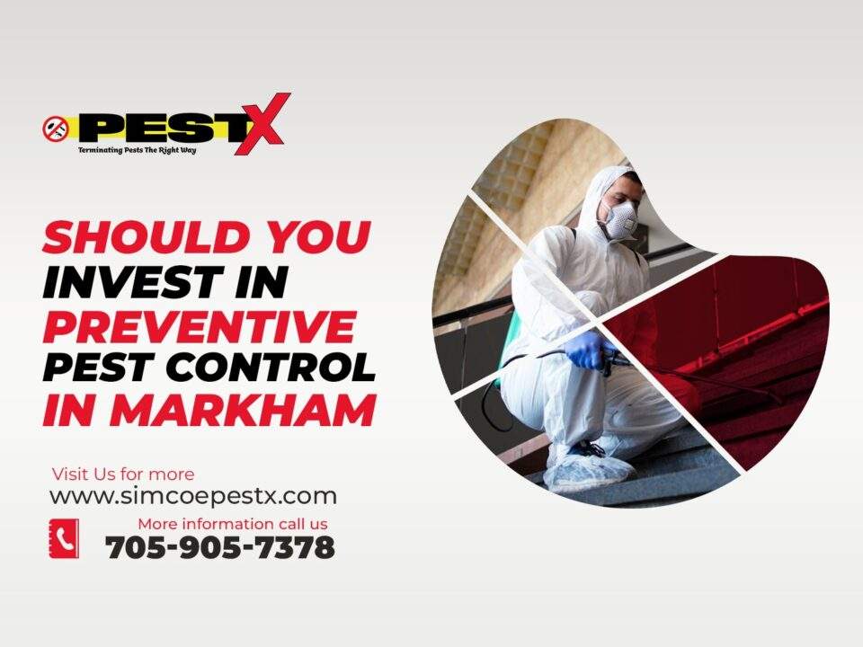 Preventive Pest Control in Markham