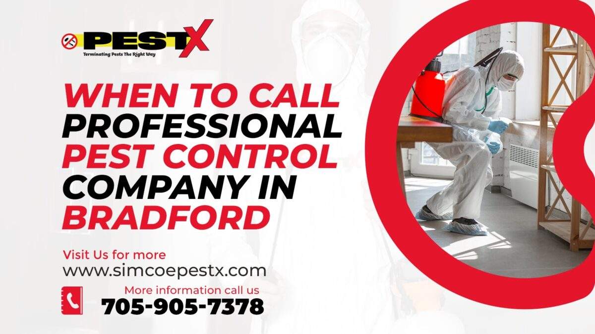 Professional Pest Control Company in Bradford