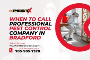 Professional Pest Control Company in Bradford