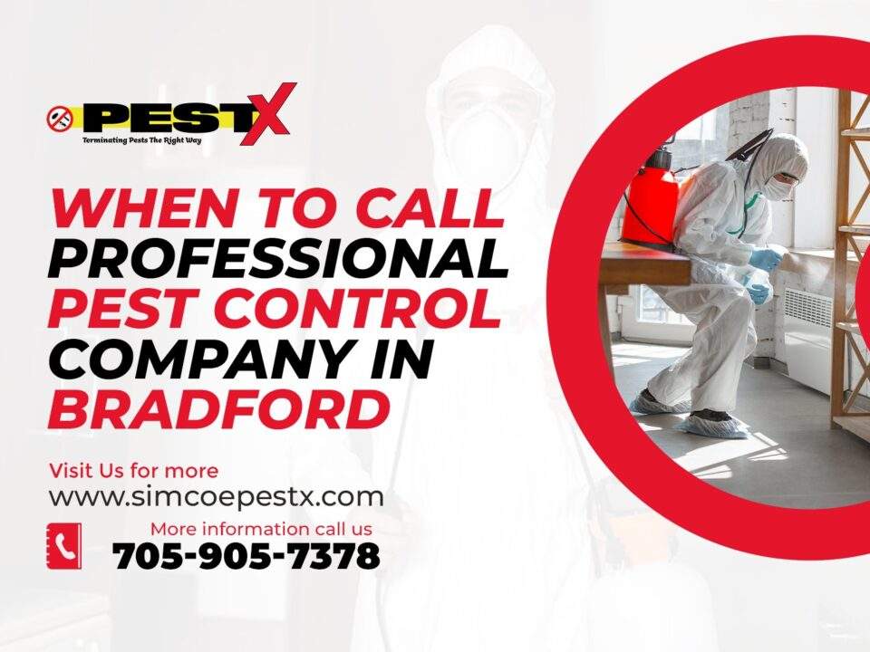 Professional Pest Control Company in Bradford