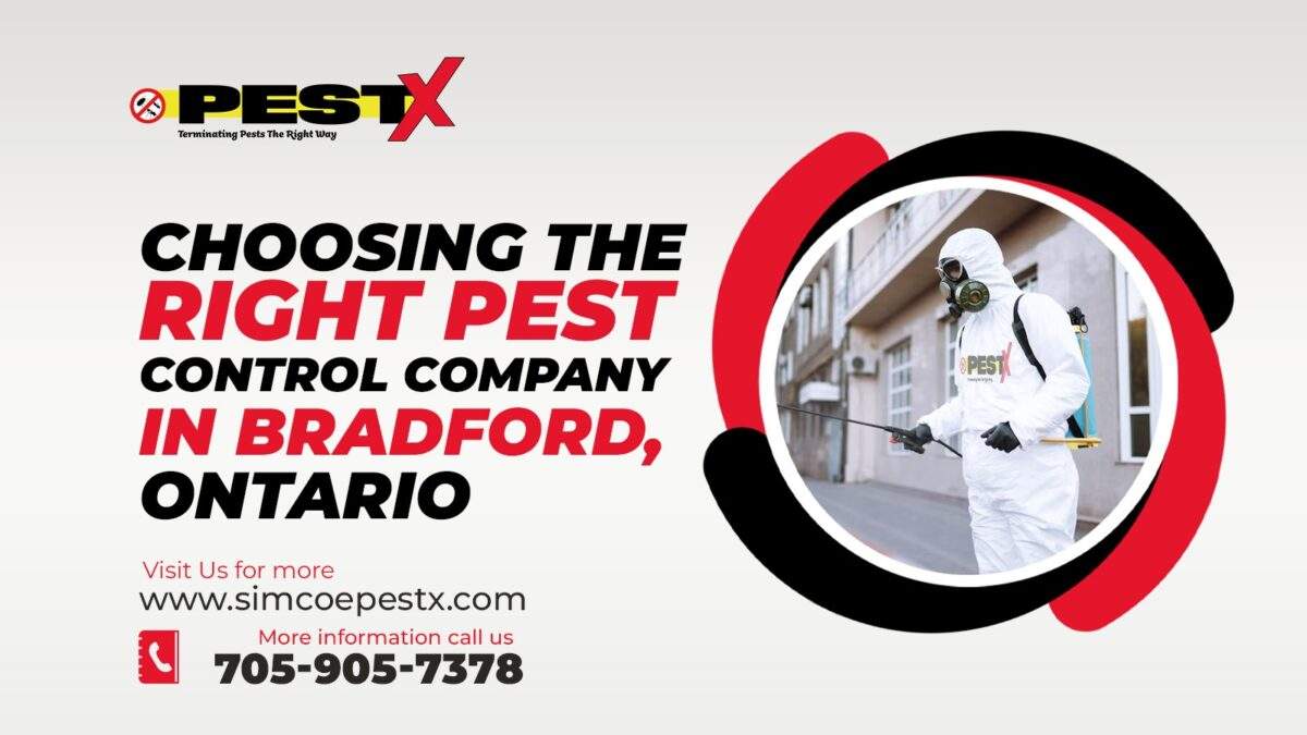 Right Pest Control Company in Bradford