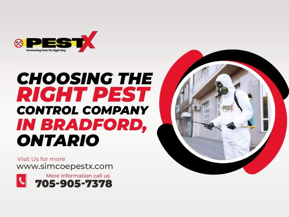 Right Pest Control Company in Bradford