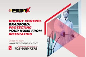 Rodent Control Bradford