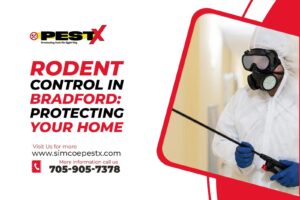 Rodent Control in Bradford