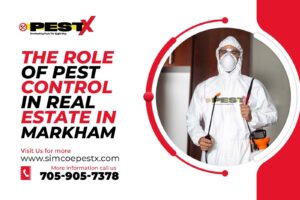 Role of Pest Control in Real Estate