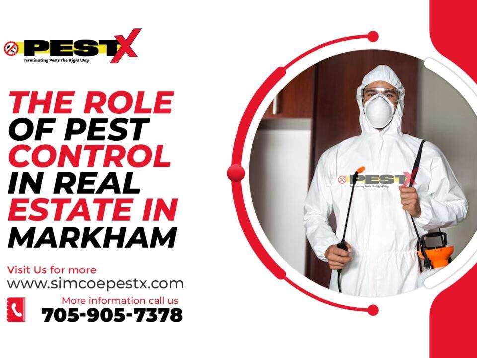 Role of Pest Control in Real Estate