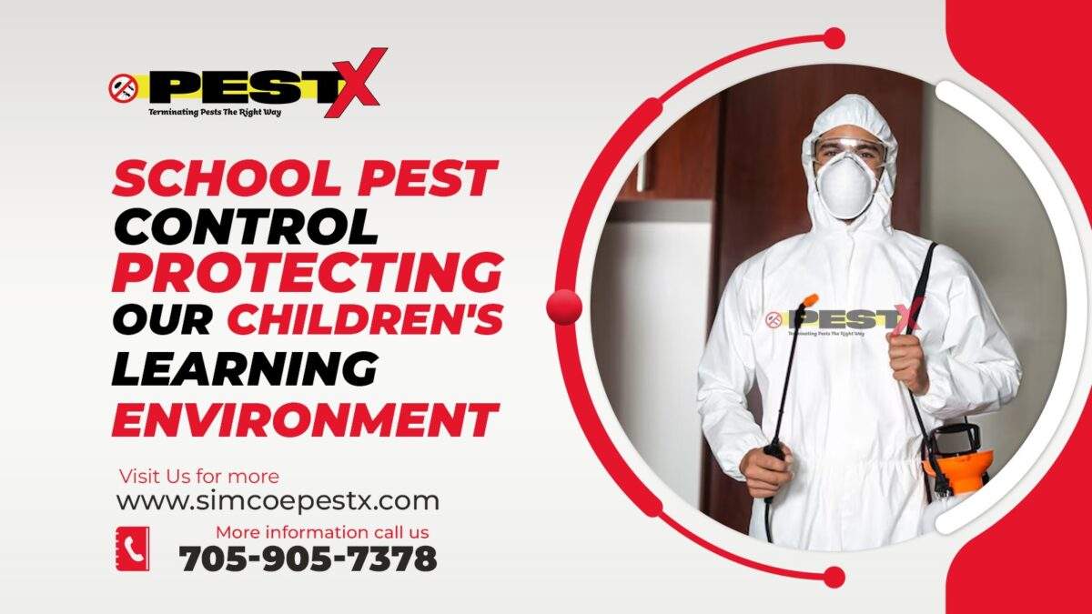 School Pest Control