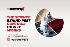 Science Behind Pest Control