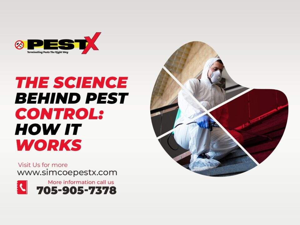 Science Behind Pest Control