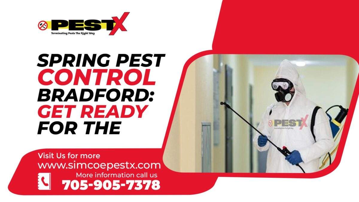 Spring Pest Control Bradford