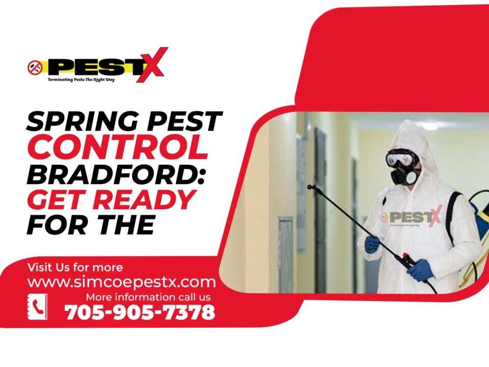 Spring Pest Control Bradford