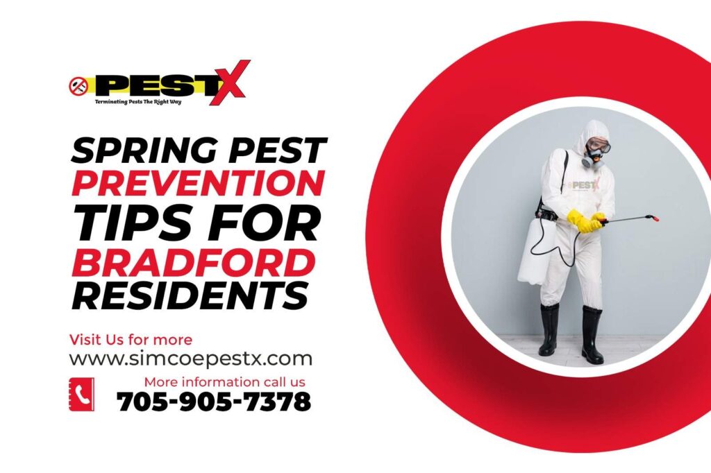 Current image: Spring Pest Prevention Tips