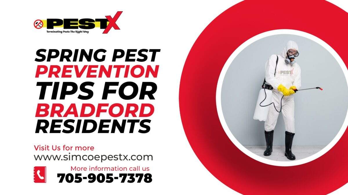 Spring Pest Prevention Tips