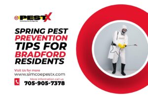 Spring Pest Prevention Tips