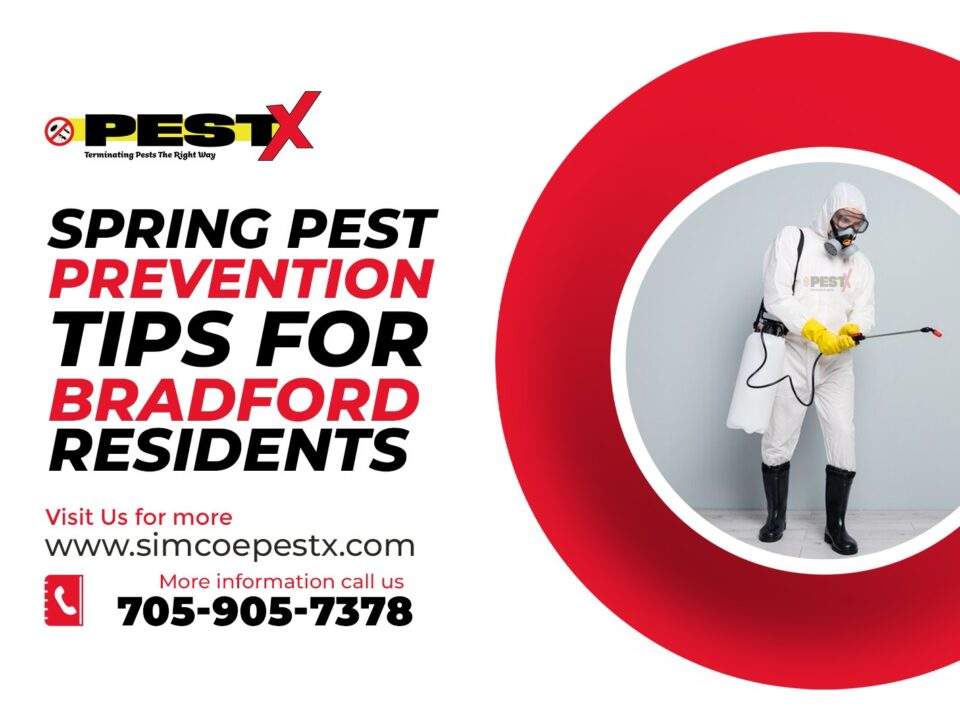 Spring Pest Prevention Tips