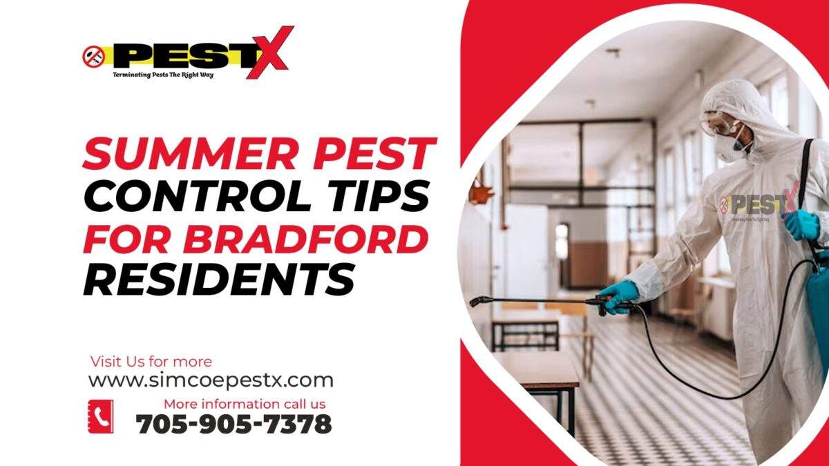 Summer Pest Control Tips