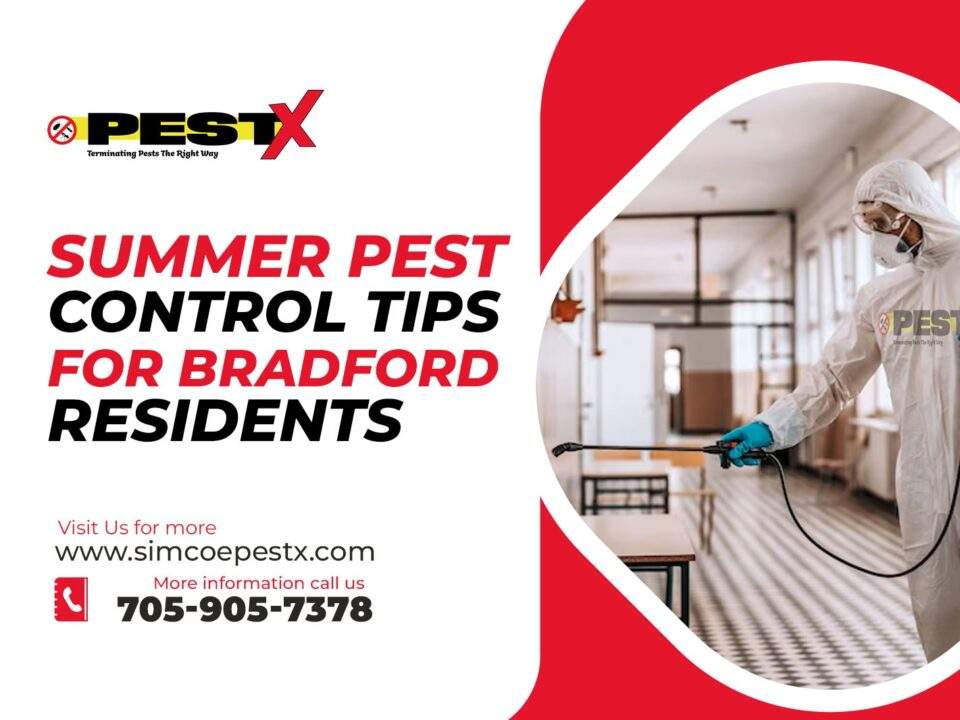 Summer Pest Control Tips