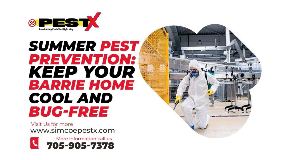 Summer Pest Prevention