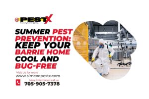 Summer Pest Prevention