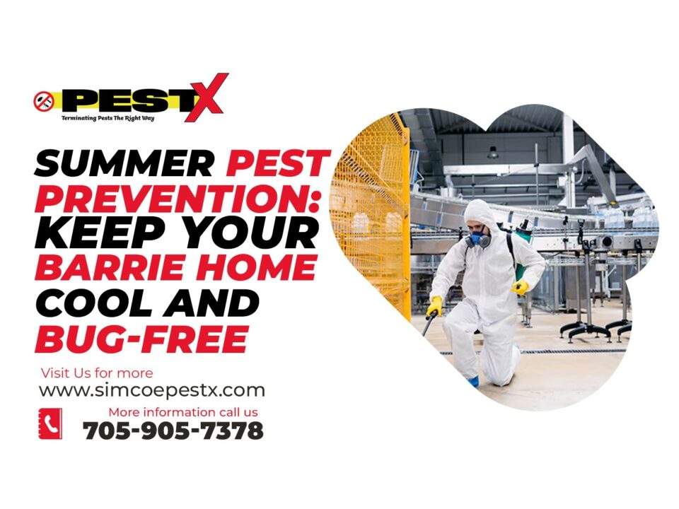 Summer Pest Prevention