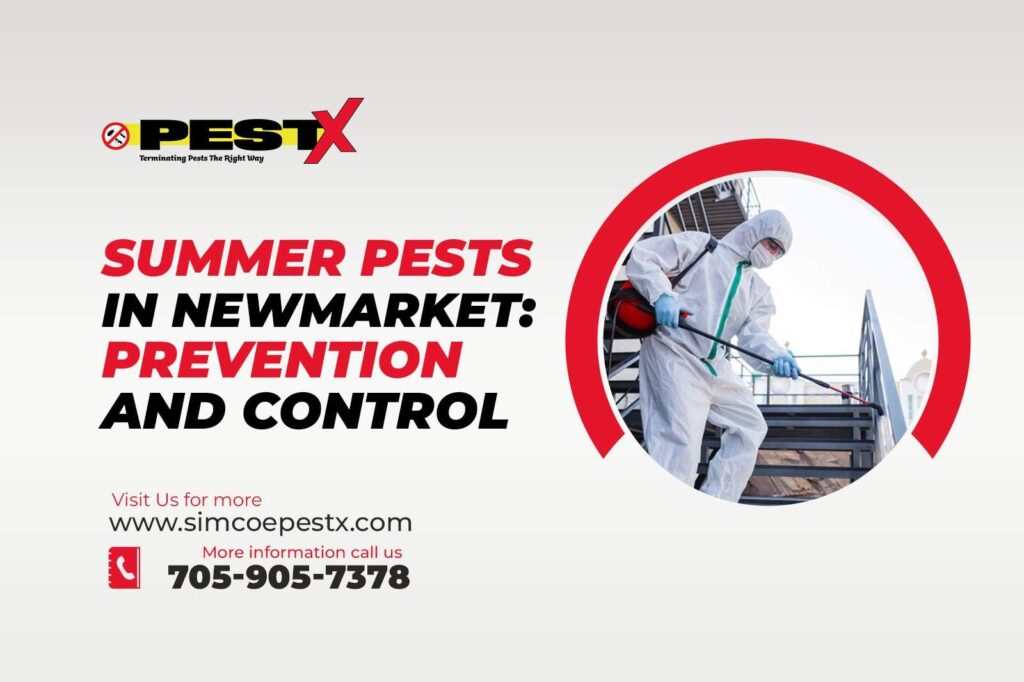 Current image: Summer Pests in Newmarket