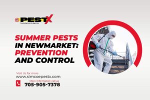 Summer Pests in Newmarket