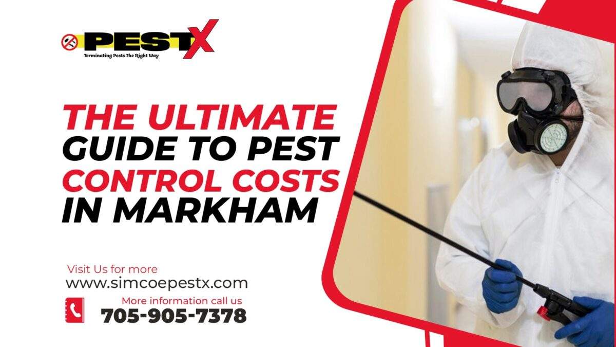 Ultimate Guide to Pest Control Costs