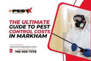 Ultimate Guide to Pest Control Costs