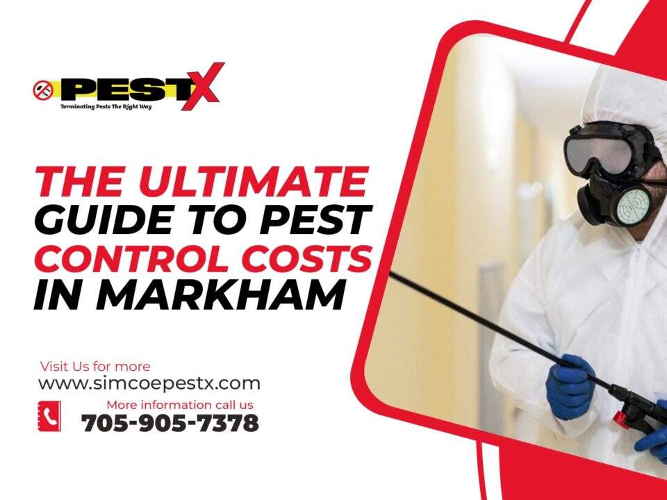 Ultimate Guide to Pest Control Costs