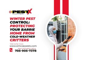 Winter Pest Control