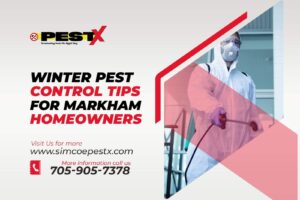 Winter Pest Control Tips
